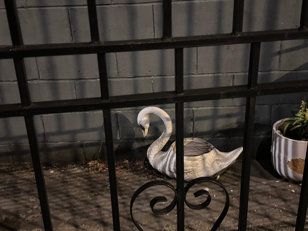 Untitled Untitled